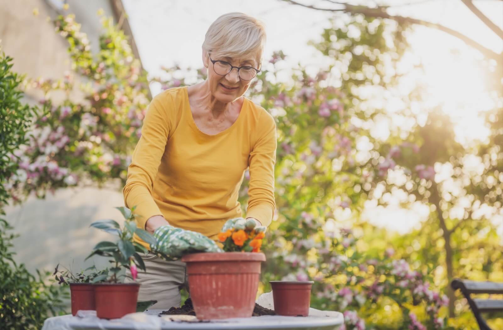 A senior wearing gardening gloves gently packs dirt into a flower pot while gardening outside on a sunny day